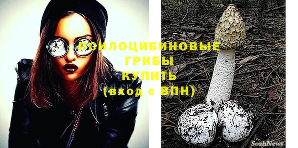 экстази Белокуриха